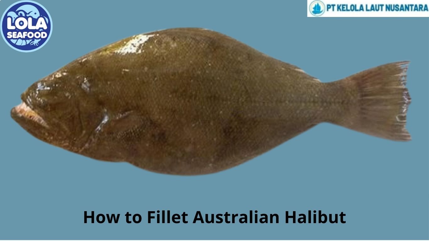 How to Fillet Australian Halibut